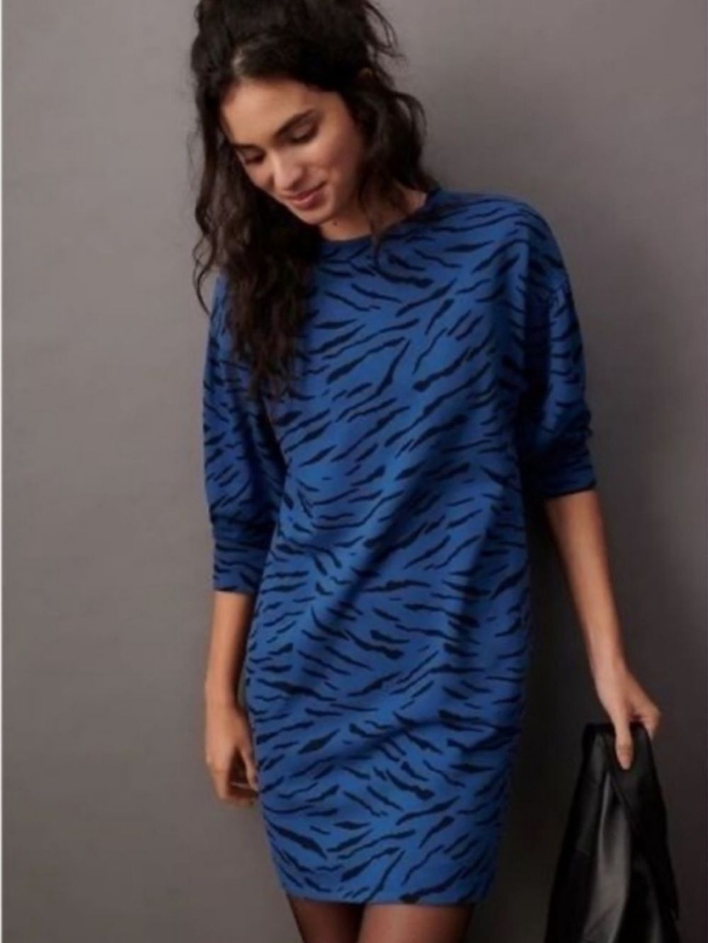 Anthropologie x Velvet by Graham & Spencer Blue Zebra Print Sweatshirt Dress M